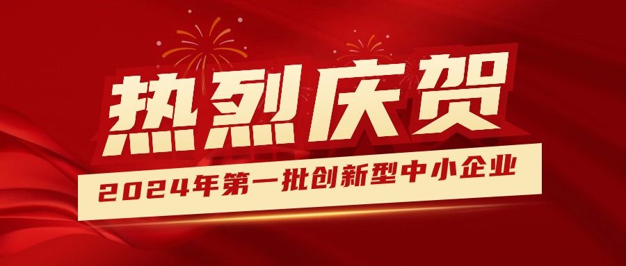 喜報！集團(tuán)獲認(rèn)定為2024年第一批創(chuàng)新型中小企業(yè) 