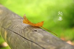 今日12時(shí)9分，迎來處暑節(jié)氣